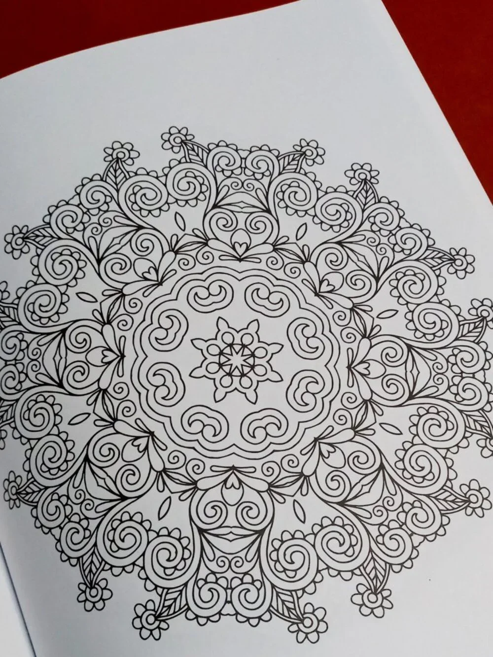 (x2) Colorama & Floral Design Color by Number Adult Coloring Books